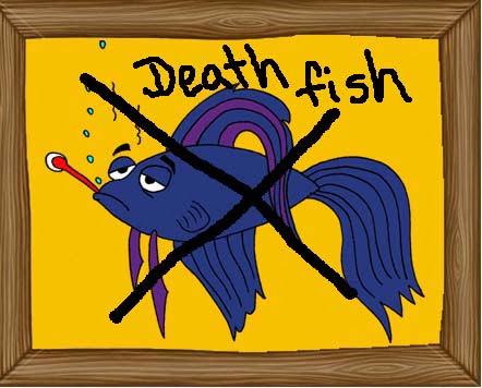 Archie death fish JPG